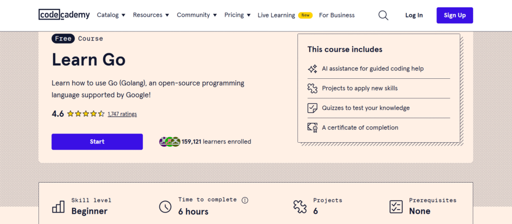 Codecademy: Learn Go